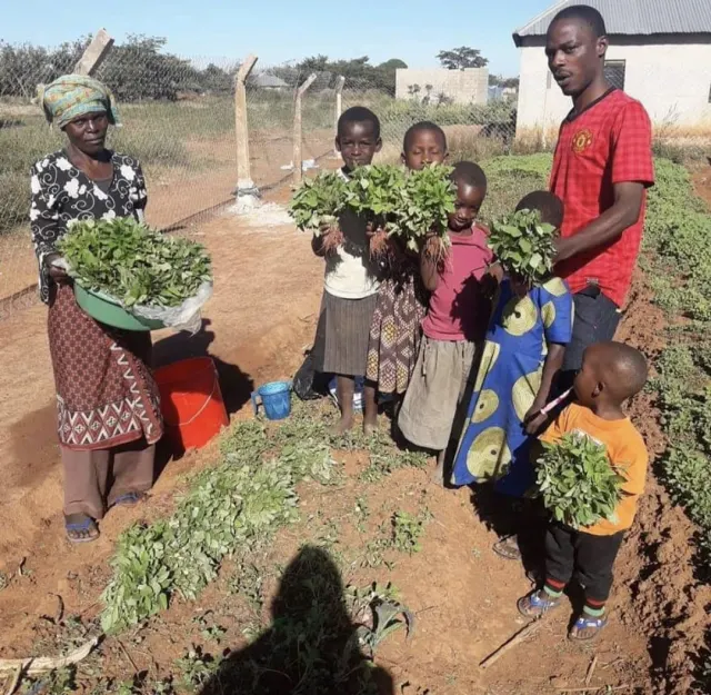 Children and caretakers holding fresh greens harvested from the centre’s garden